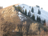 Доменная гора