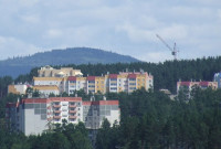 все выше к солнцу