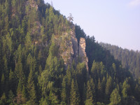 Жукова шишка