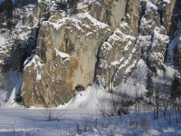 На кардоне