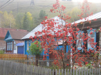 Яркие краски осени. По дороге на пруд