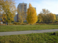 золотая осень
