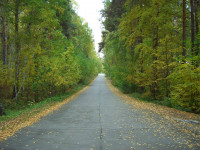в городском парке