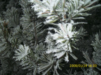 winter 002
