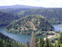 Жукова шишка.