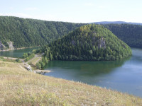 Жукова шишка