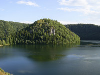 Жукова шишка.