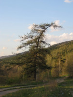 Недалеко от Миасса