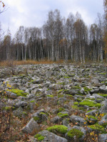 Каменная россыпь на г. Красной