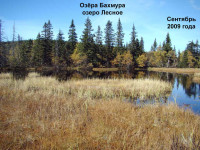 Озеро_Лесное-3