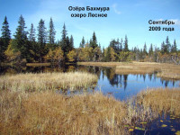 Озеро_Лесное-4