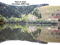 Пруд-12