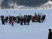 IMG_6167.jpg
