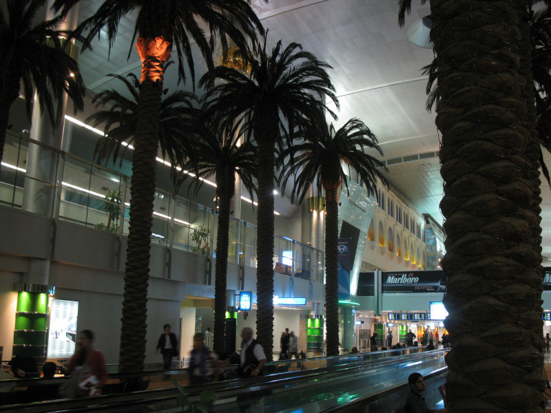 Пальмы в здании аэропорта Дубая