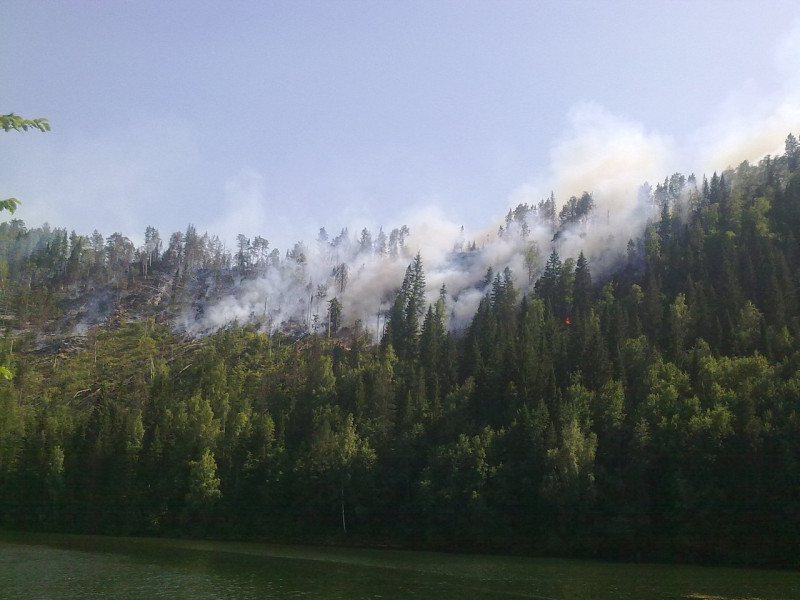 Пожар на пруду 2010