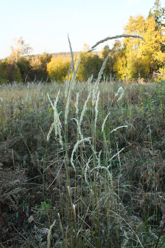 Предлагайте название в комментариях.