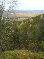 осень на большаке