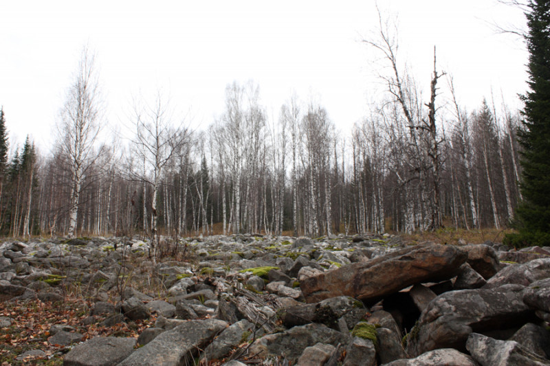 Каменная россыпь (курумник)