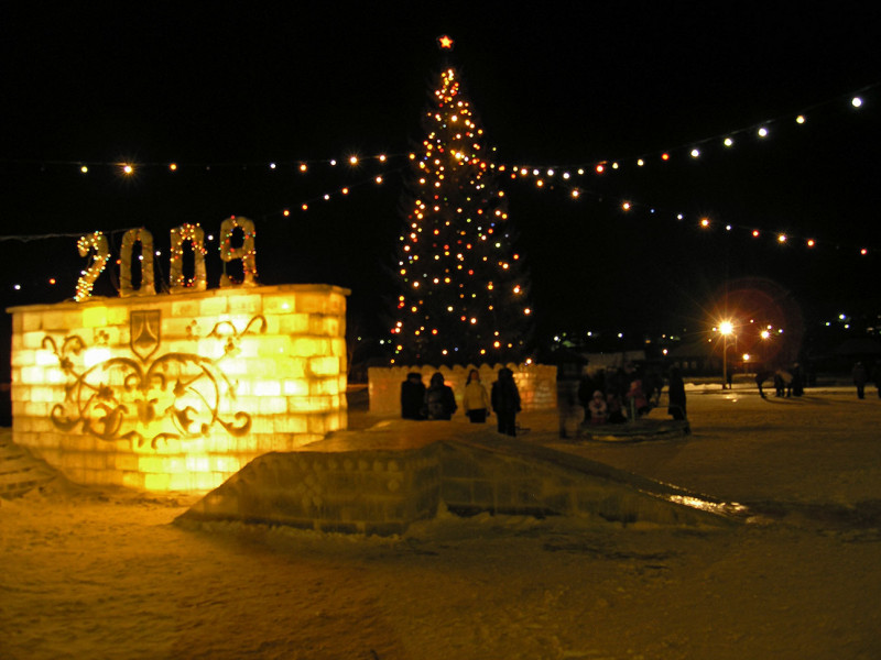 В Новый 2009 год