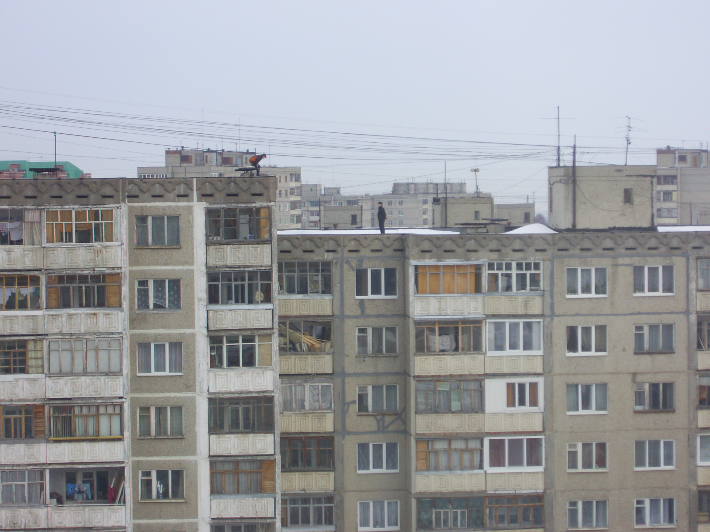 Каменные джунгли. Два Тарзана. Вид из моего окна.