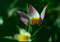 Фото из архива