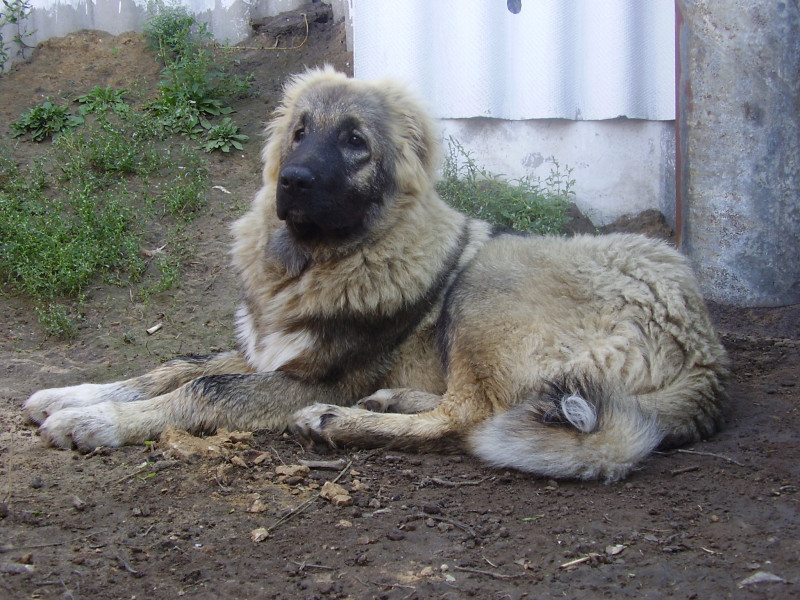 ______________________ 125.jpg