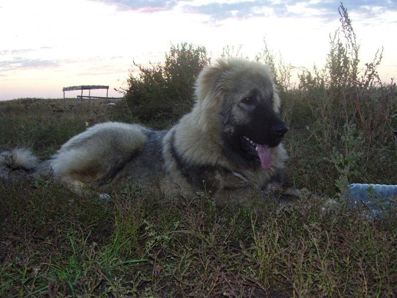 ______________________ 128.jpg