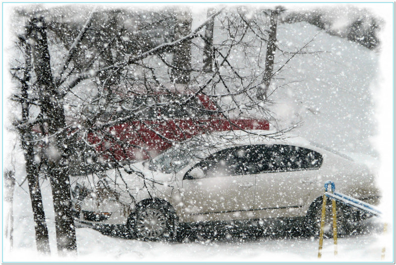 Снег + Авто
