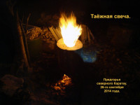 Таёжная_свеча-1