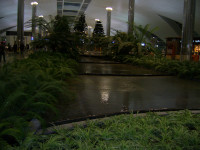 Аэропорт Дубаи. Внутренний сад 2