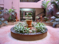 Бангалор, гостиница. Внутренний сад 2