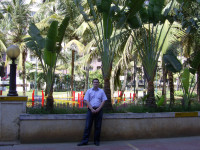 Бангалор. Внутренний двор гостиницы