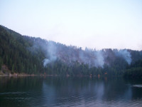 Пожар на Симском пруду 2010