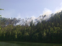 Пожар на пруду 2010