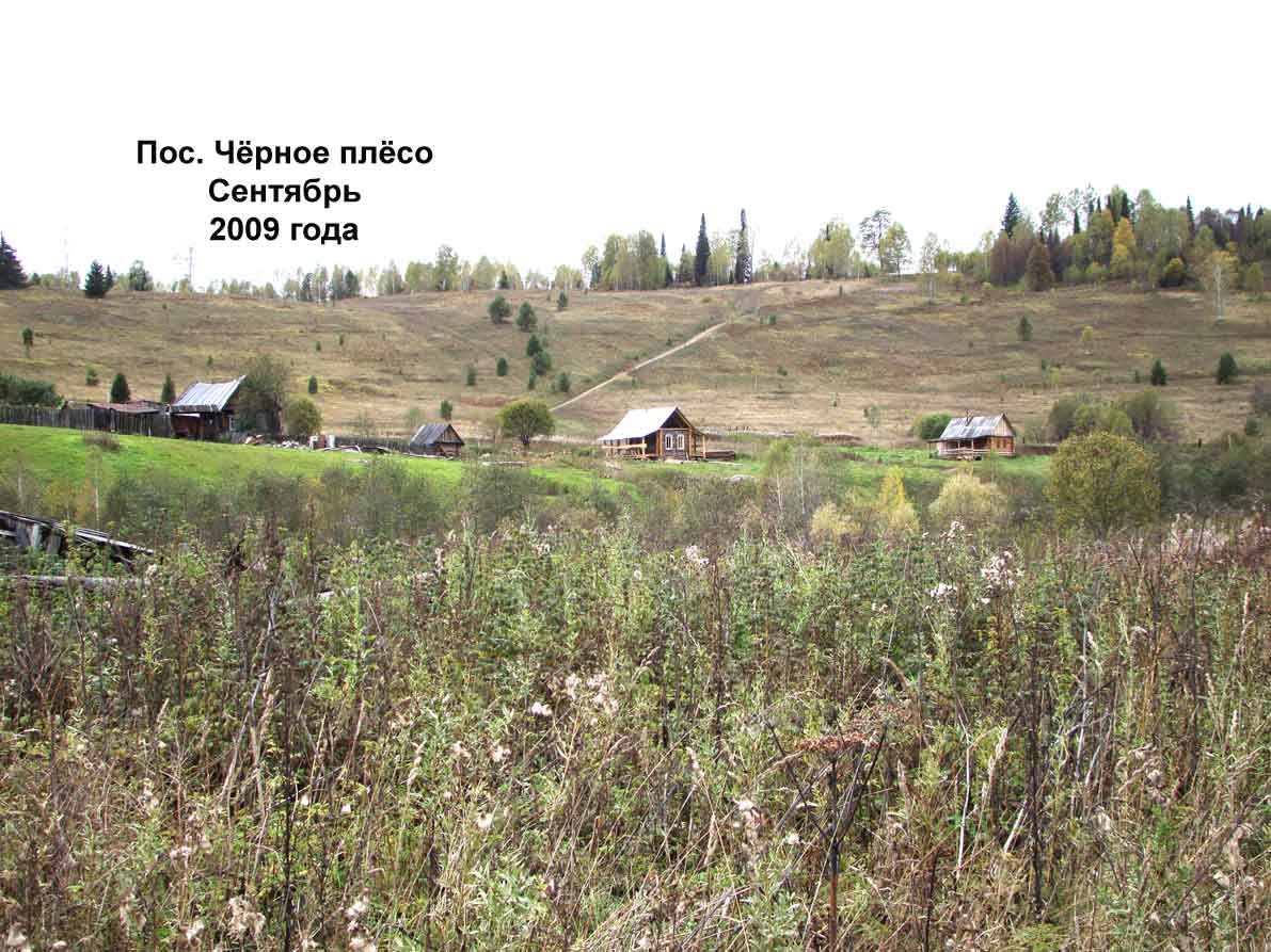 Деревня плесо вологодская область. Плесо архангельская область. Осиновое плесо новокузнецк. Поселок плесо. Шенкурский мост.