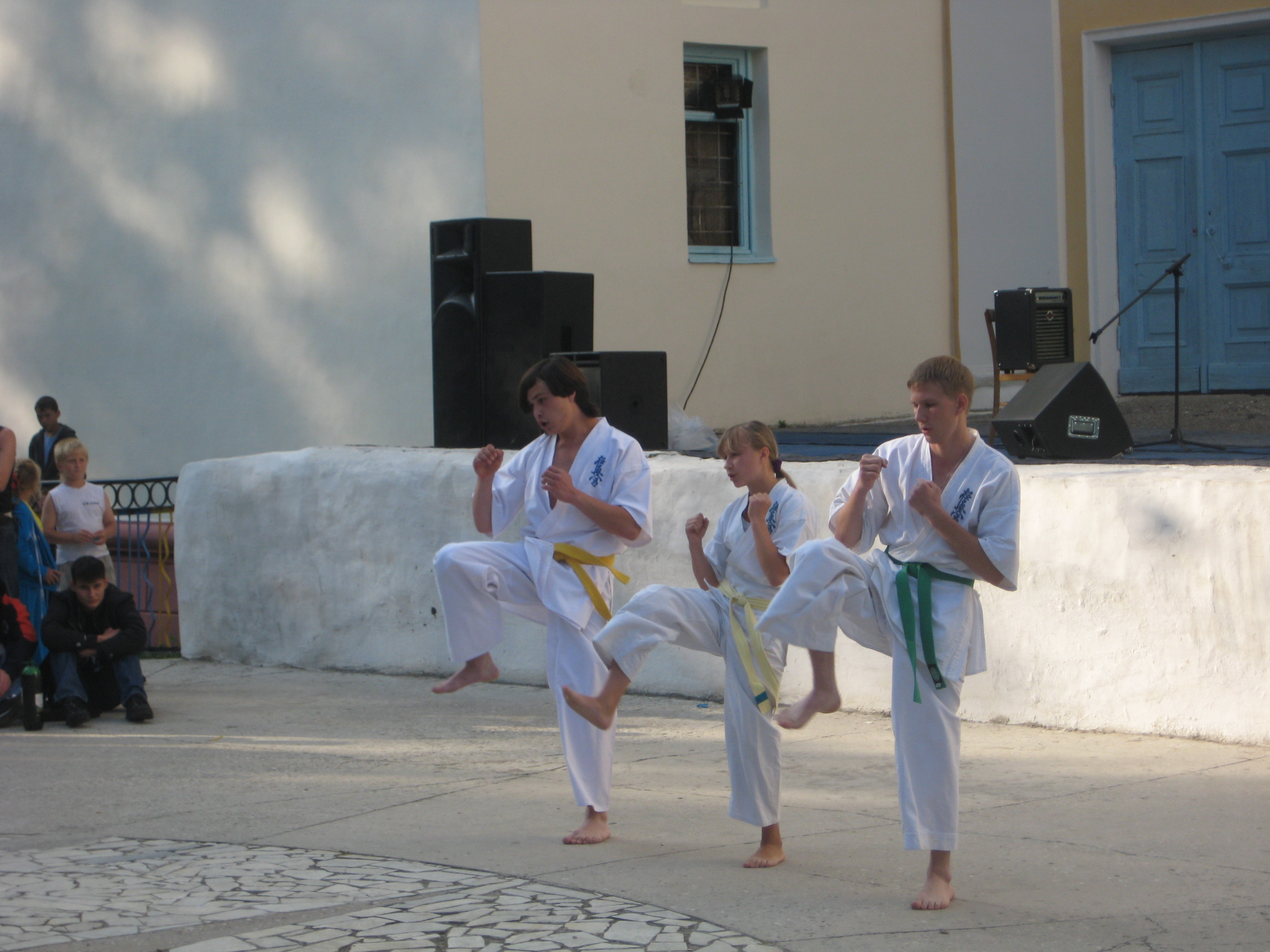 Карате выступления. Каратэ выступление детей. Школа каратэ киокушинкай пермь. Каратэ показательные выступления. Карате выступления.